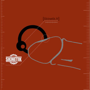 Prince Albert Inverse